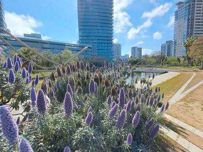 Apartamento en  Diagonal Mar I El Front Maritim Del Poblenou, Barcelona