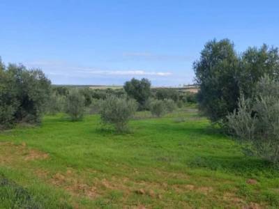 Casa en  Gibraleon, Huelva Provincia