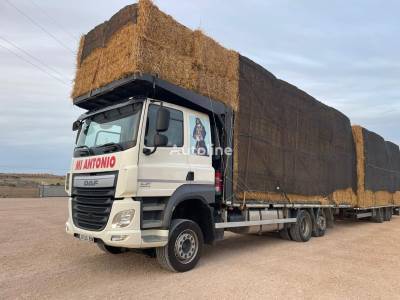 DAF + remolque plataforma
